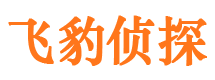 华龙侦探公司